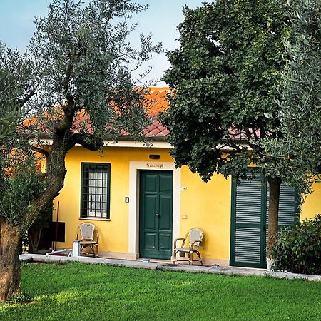 La Vista Agriturismo Boutique Ariccia Eksteriør billede